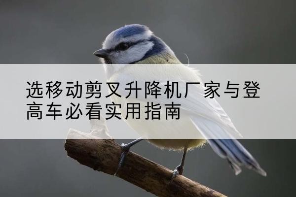 西区电动升降机厂家-选移动剪叉升降机厂家与登高车必看实用指南