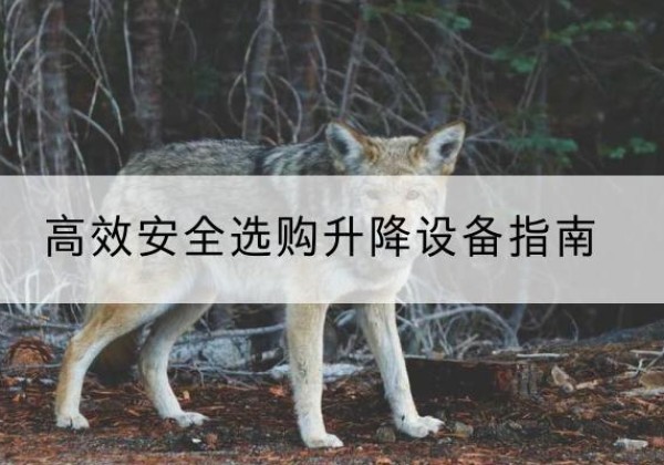 西区升降货梯厂家推荐-*安全选购升降设备指南