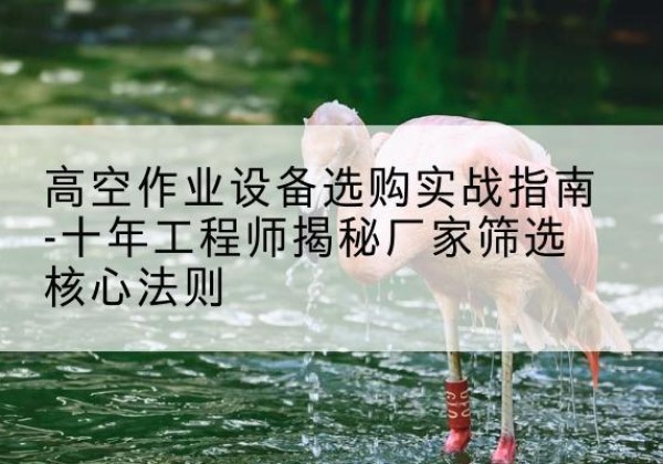 西区剪叉式升降机厂家-高空作业设备选购实战指南-十年工程师揭秘厂家筛选核心法则